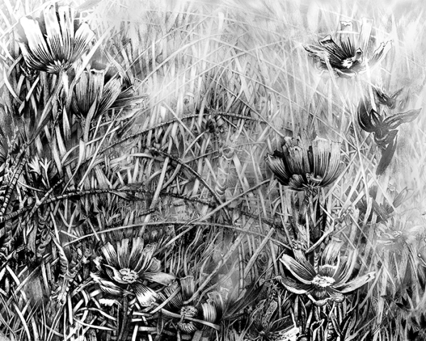 LifeandDeathGraphiteWEB